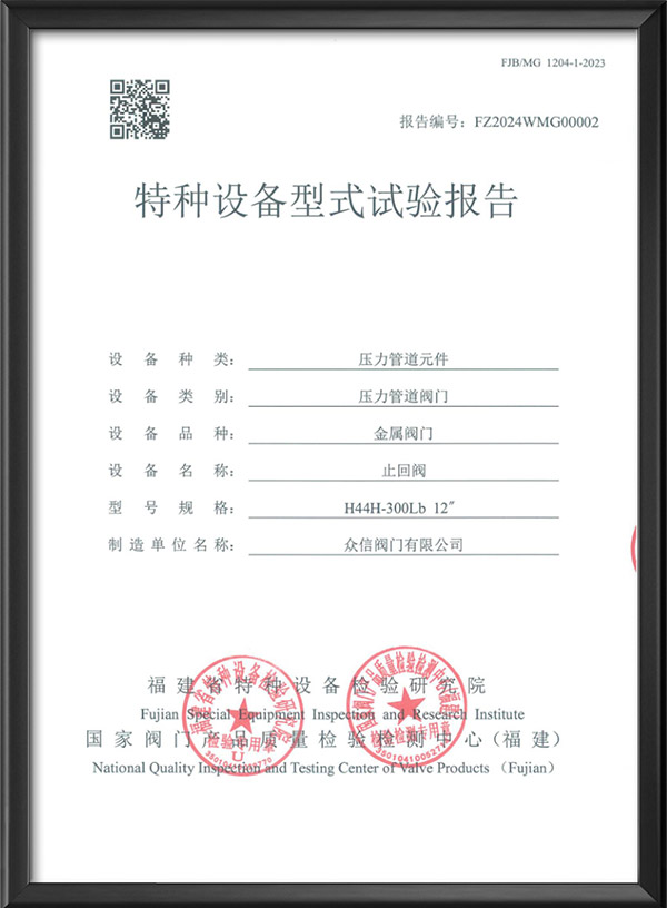 特种设备型式试验报告-止回阀